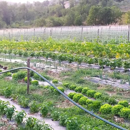 Tre Casali Arpino
